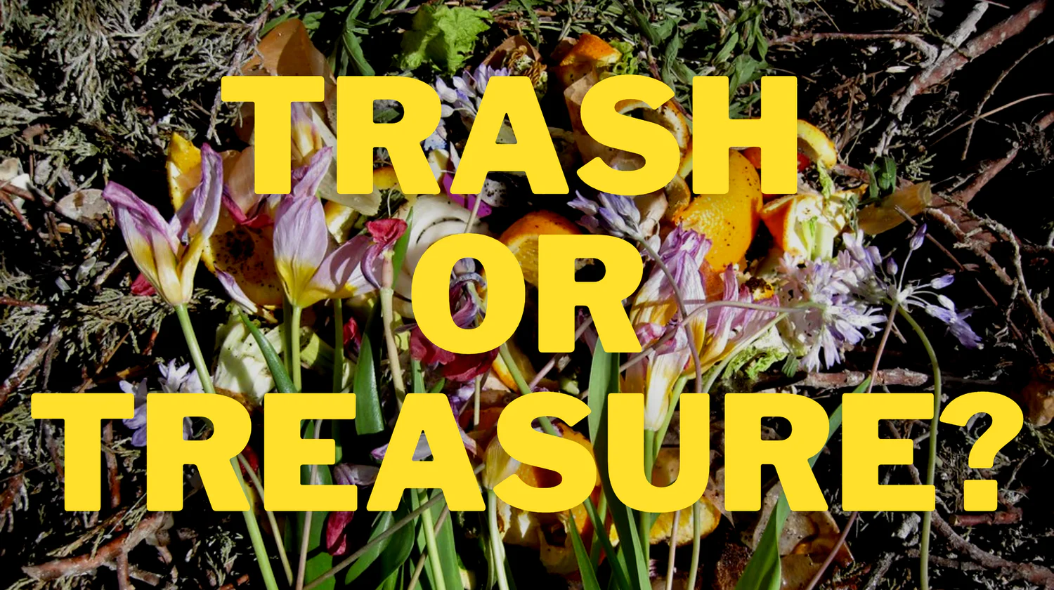 Trash or Treasure? A Beginners Guide to Eco-Friendly DIY’s