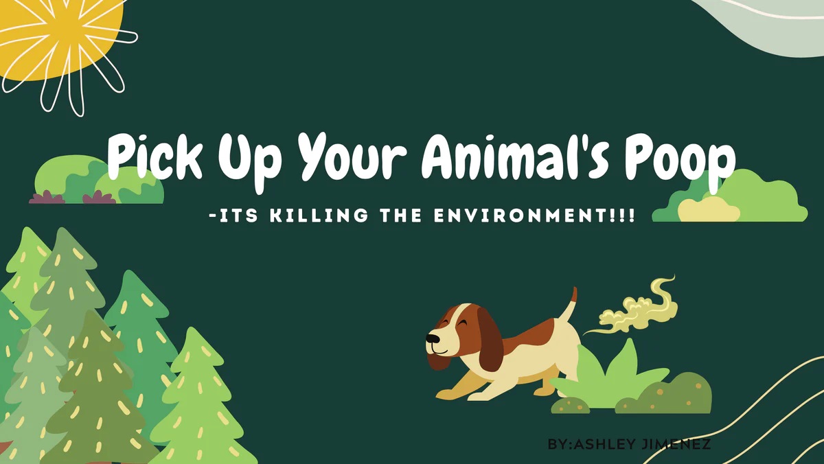 Pick Up Your Dog’s Poop-It’s Killing the Environment